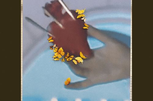 The Associations of Pauline Curnier Jardin